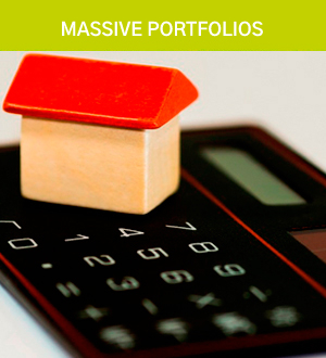 Massive Portfolios