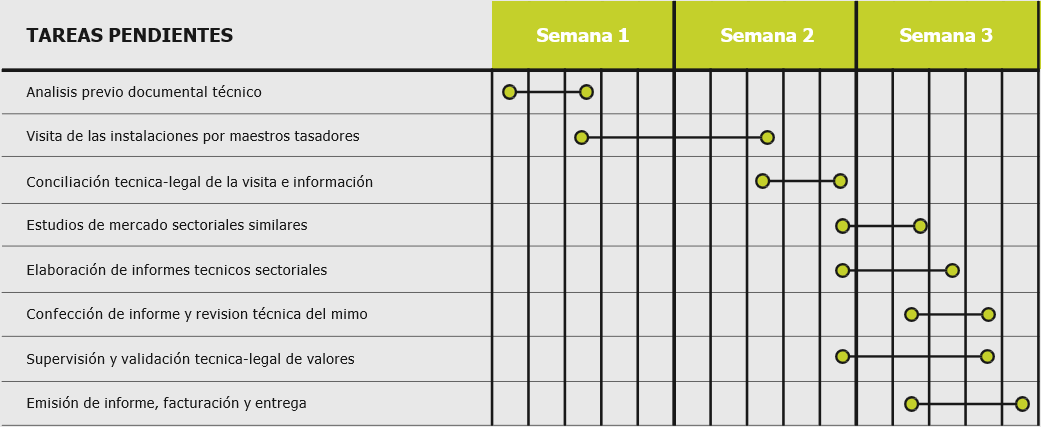 tiempos del proyecto