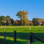 caminos y fincas rusticas