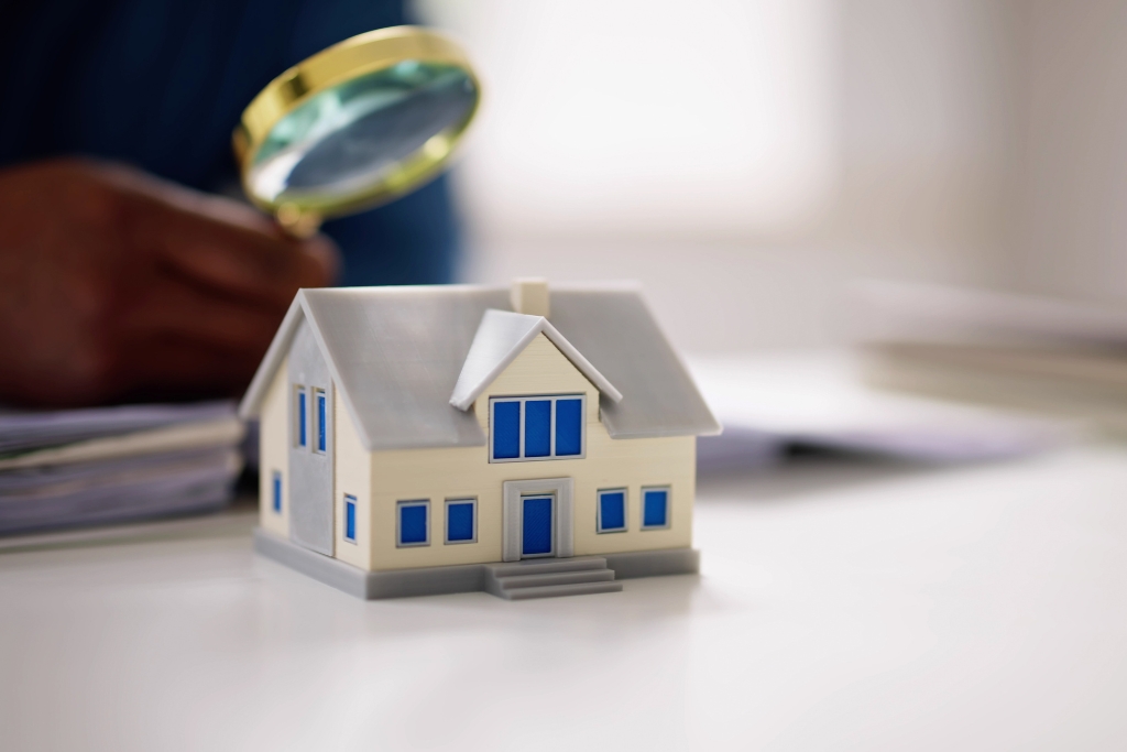 formacion en sociedades de tasacion